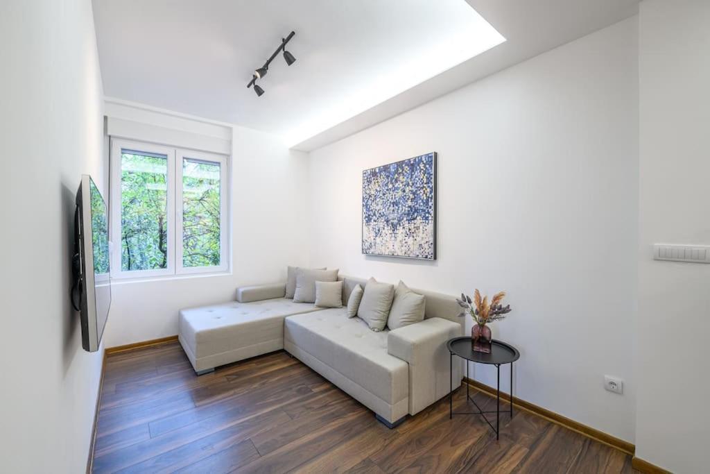 Dedinje Apartment