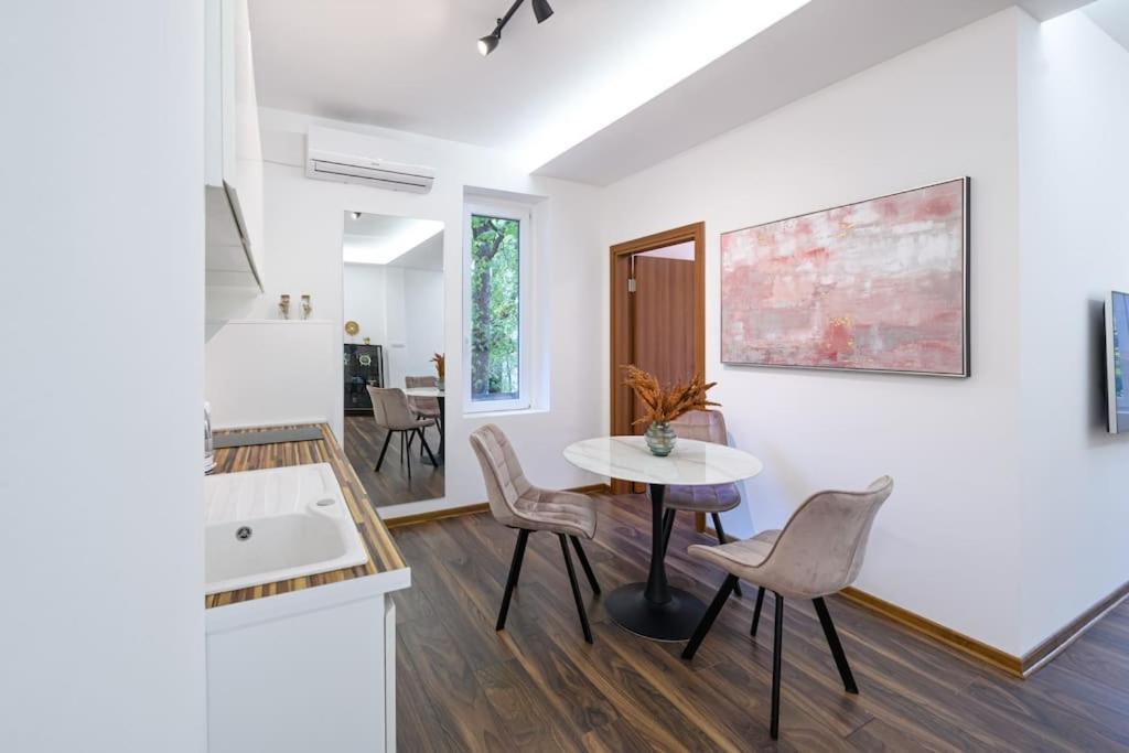 Dedinje Apartment *