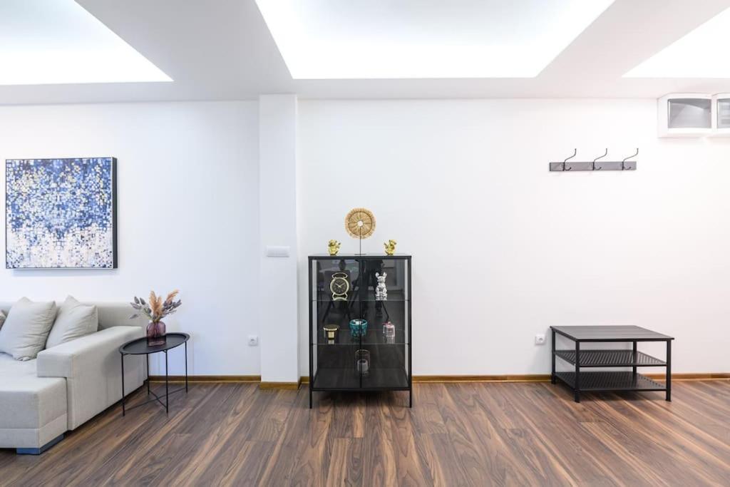 Apartment Dedinje
